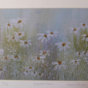 Peppermint Daisies